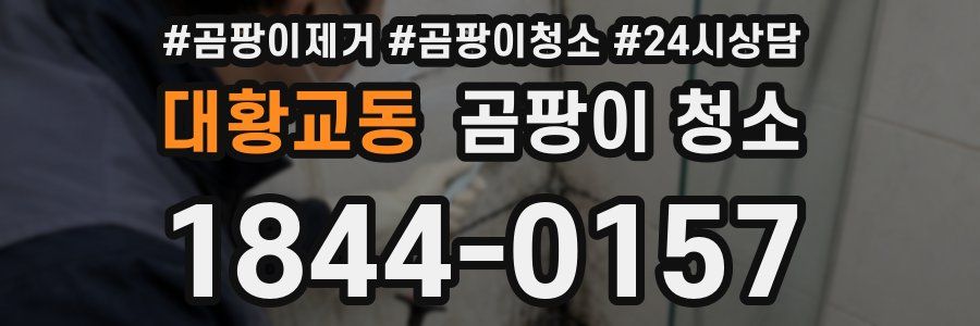 대황교동 곰팡이 청소