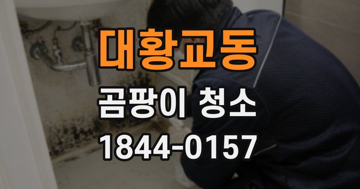 대황교동 곰팡이 청소