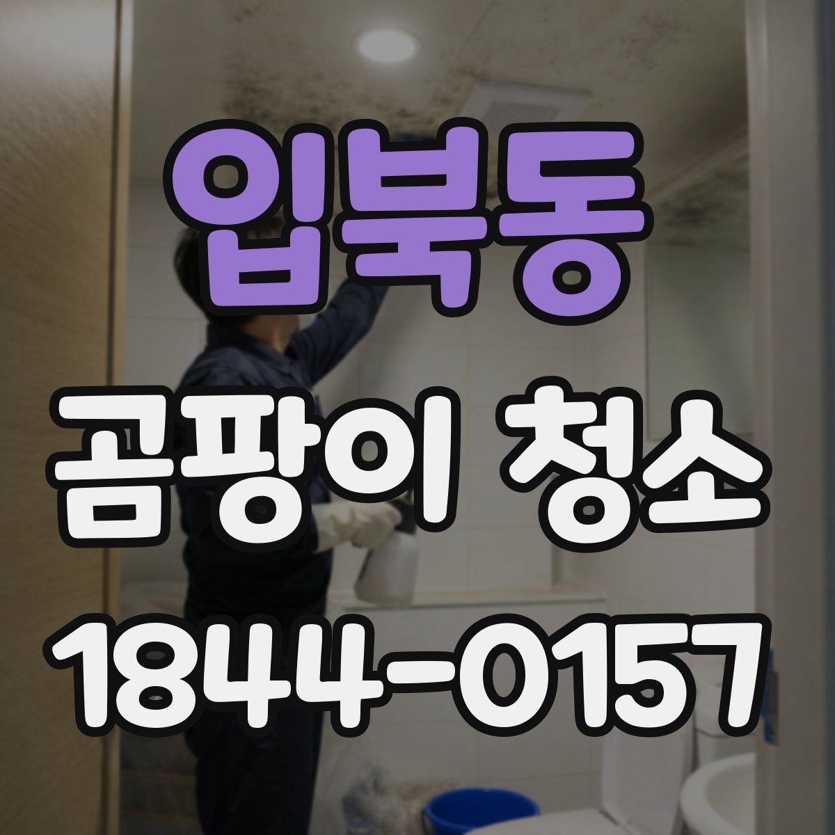 입북동 곰팡이 청소