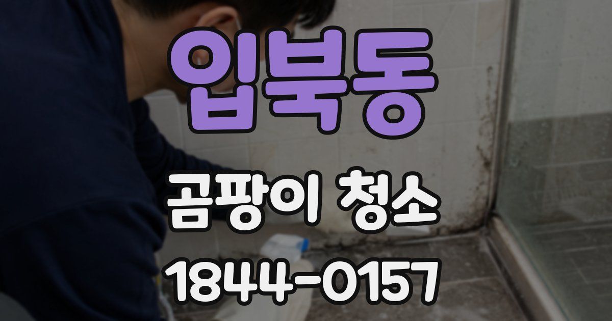 입북동 곰팡이 청소