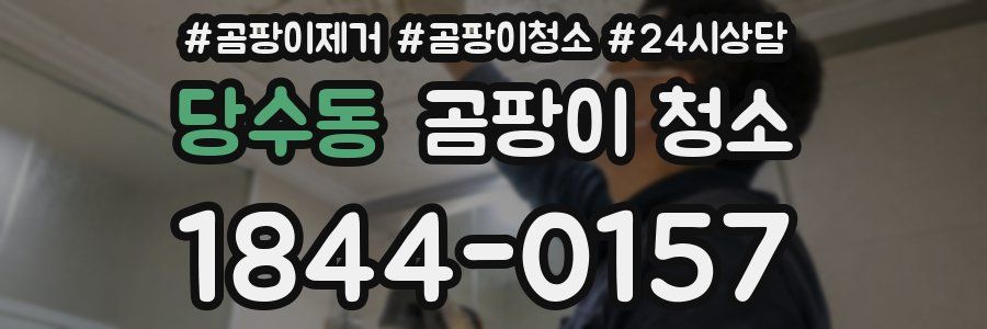 당수동 곰팡이 청소