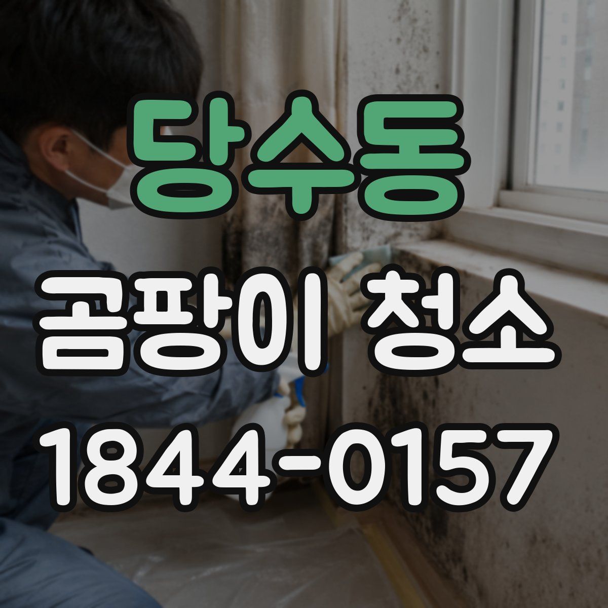 당수동 곰팡이 청소
