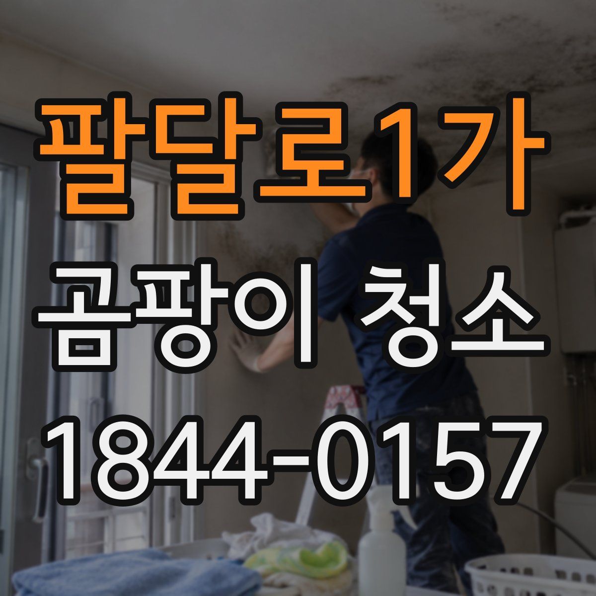 팔달로1가 곰팡이 청소