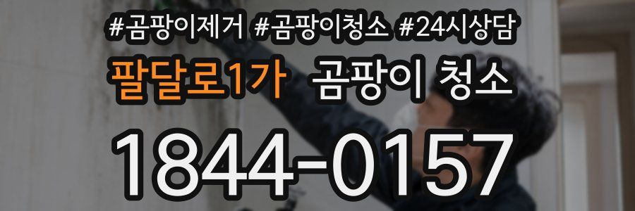 팔달로1가 곰팡이 청소