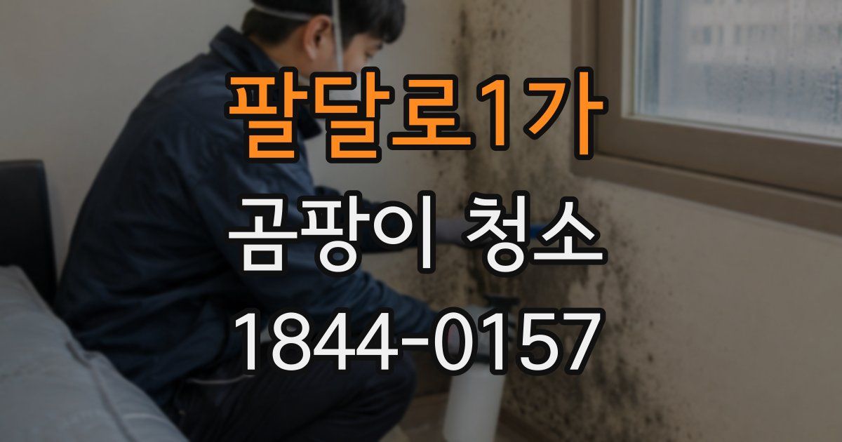 팔달로1가 곰팡이 청소