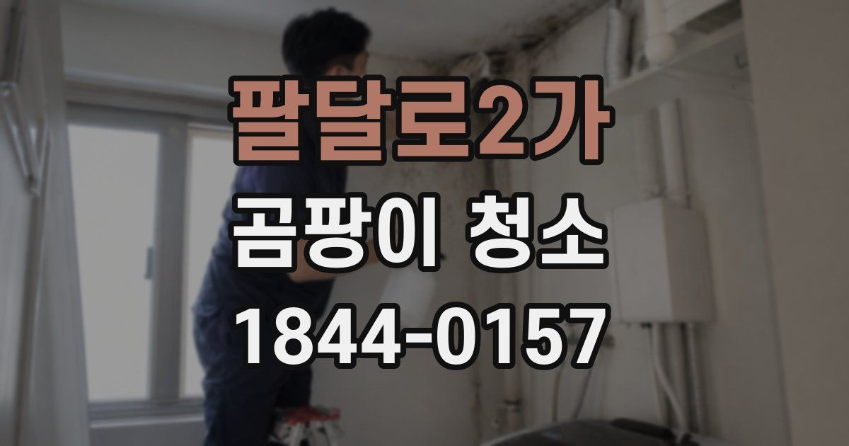팔달로2가 곰팡이 청소