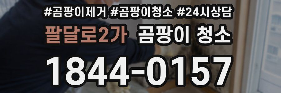 팔달로2가 곰팡이 청소