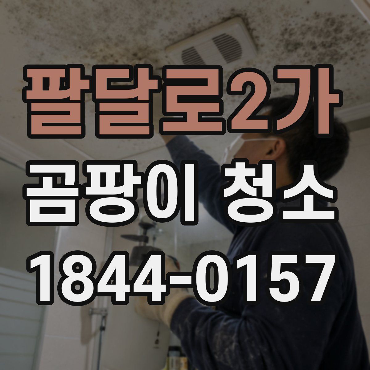 팔달로2가 곰팡이 청소