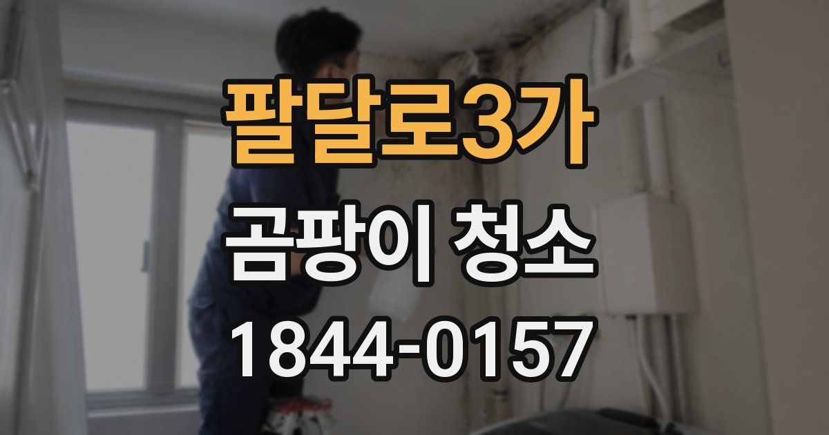 팔달로3가 곰팡이 청소