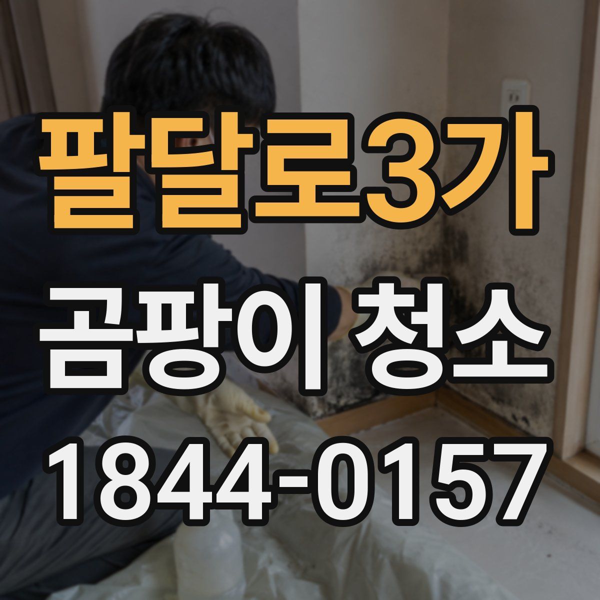 팔달로3가 곰팡이 청소