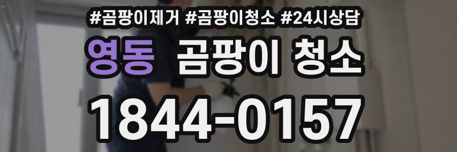 영동 곰팡이 청소