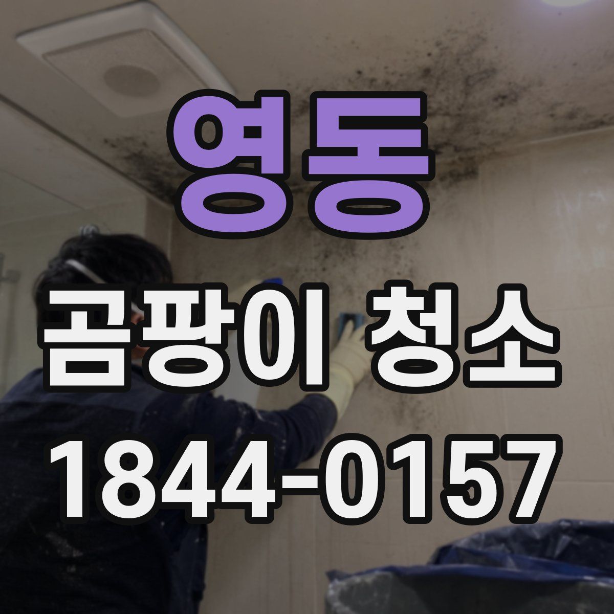 영동 곰팡이 청소
