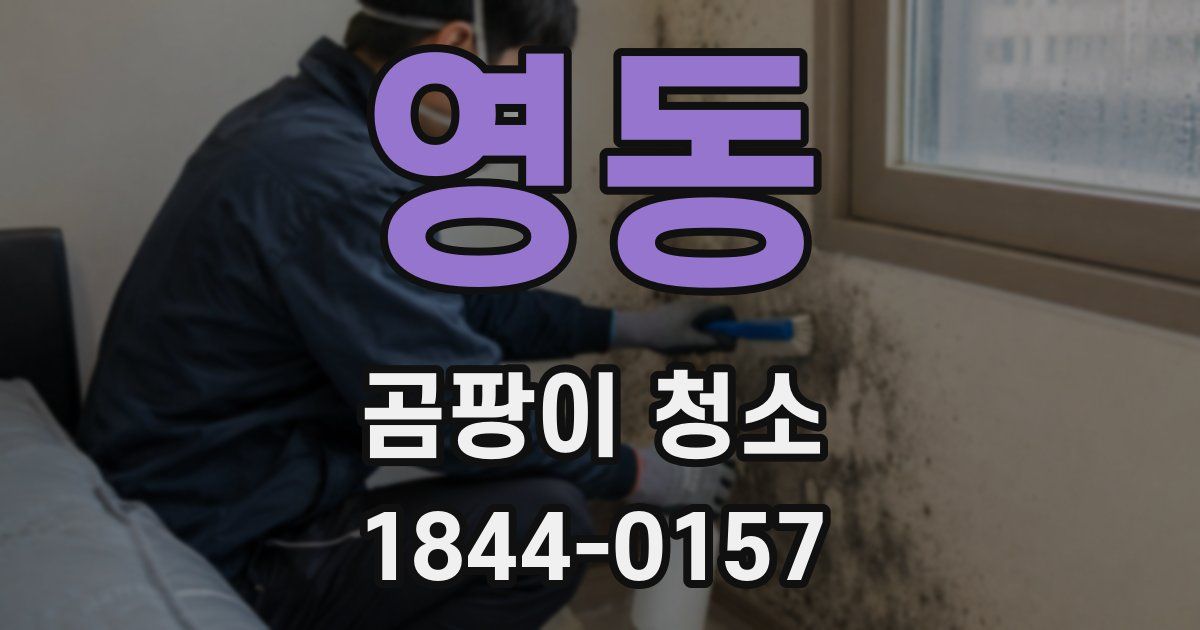 영동 곰팡이 청소