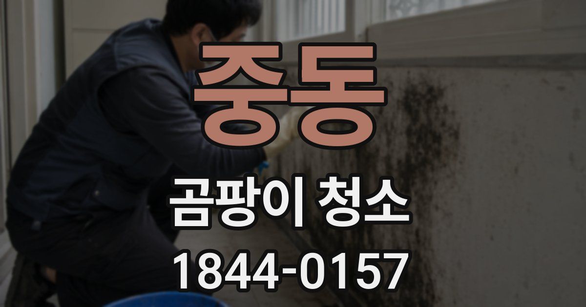 중동 곰팡이 청소