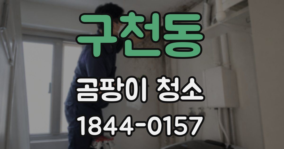 구천동 곰팡이 청소