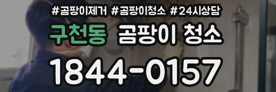 구천동 곰팡이 청소