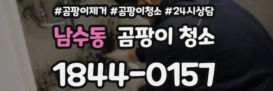 남수동 곰팡이 청소