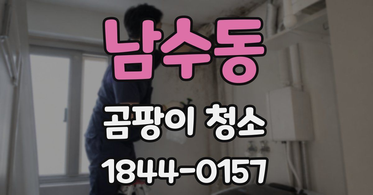 남수동 곰팡이 청소