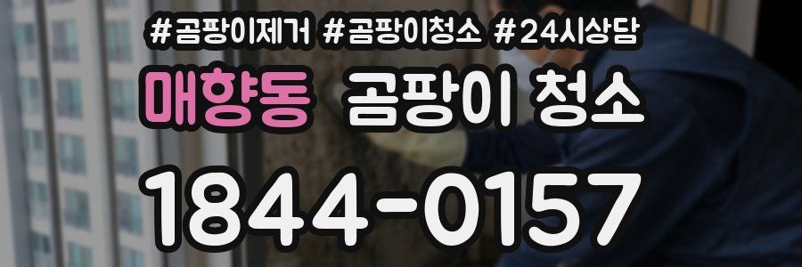 매향동 곰팡이 청소