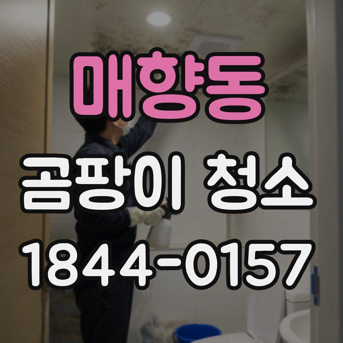 매향동 곰팡이 청소
