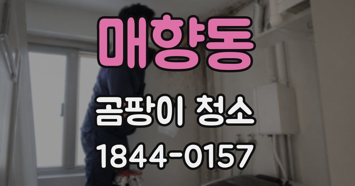 매향동 곰팡이 청소
