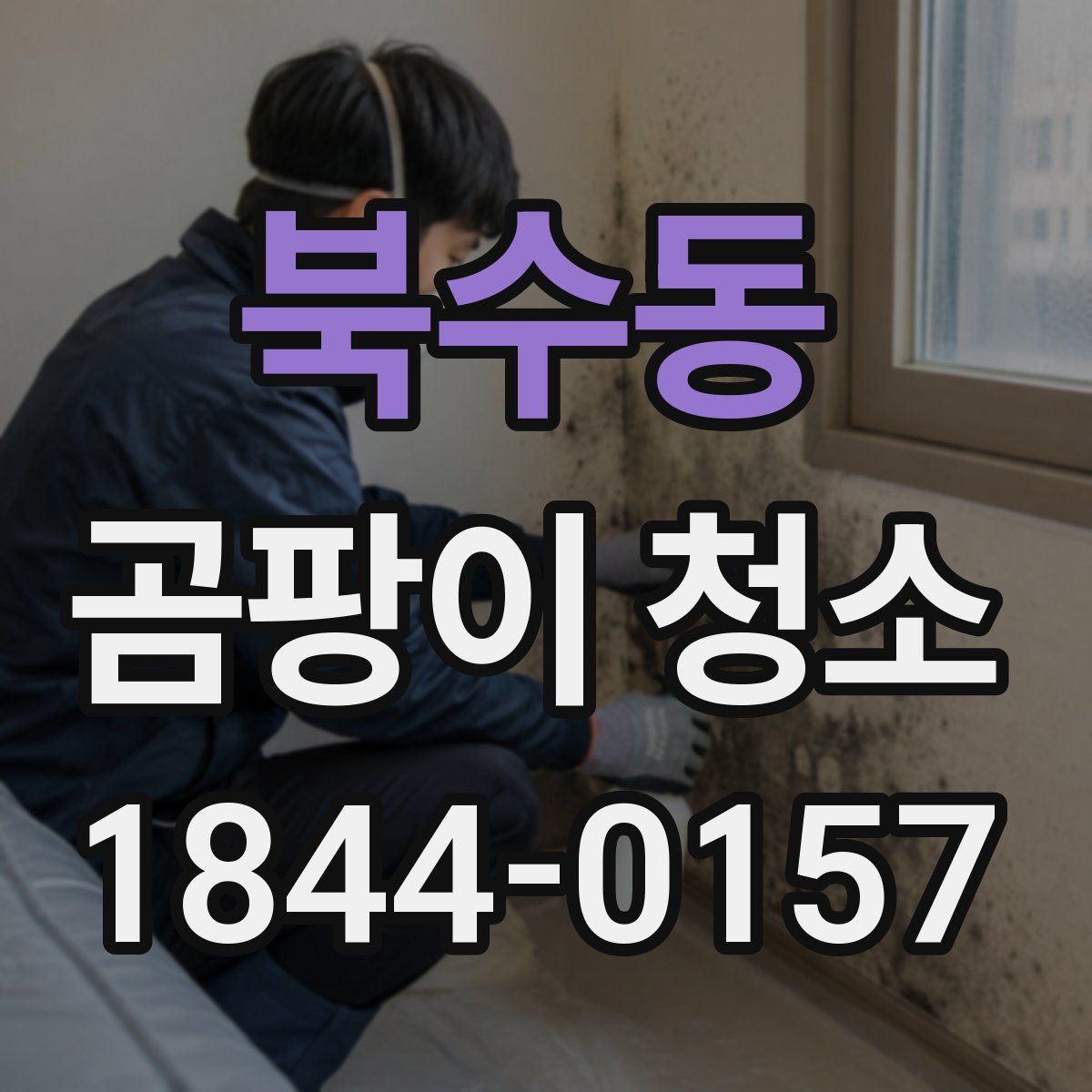 북수동 곰팡이 청소