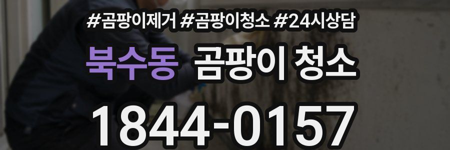 북수동 곰팡이 청소