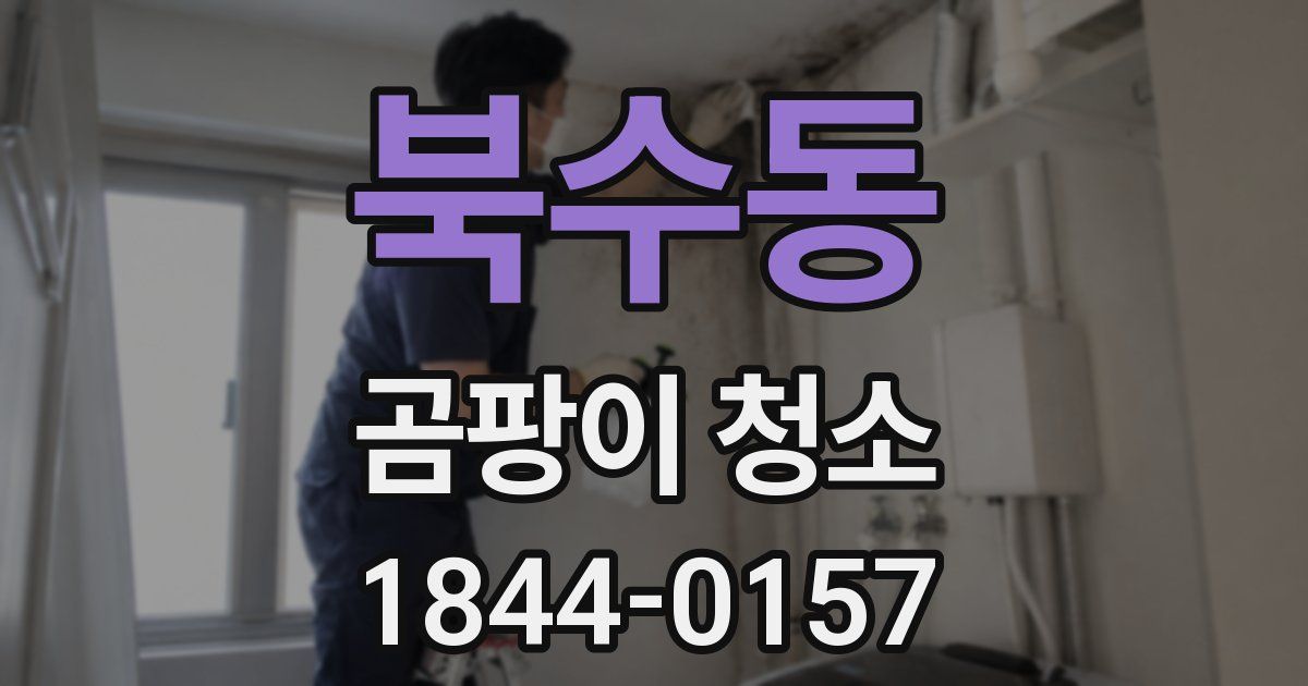 북수동 곰팡이 청소