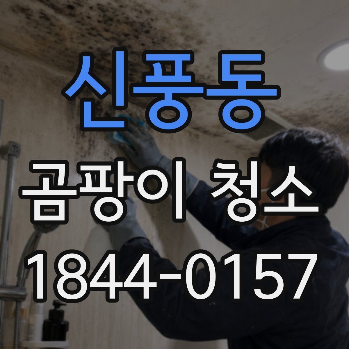신풍동 곰팡이 청소 벽면과 천장에 남은 흔적을 비교해 보는 법