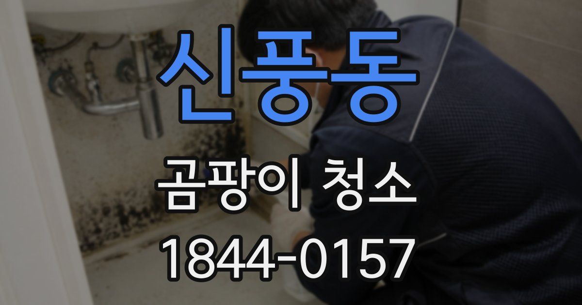 신풍동 곰팡이 청소