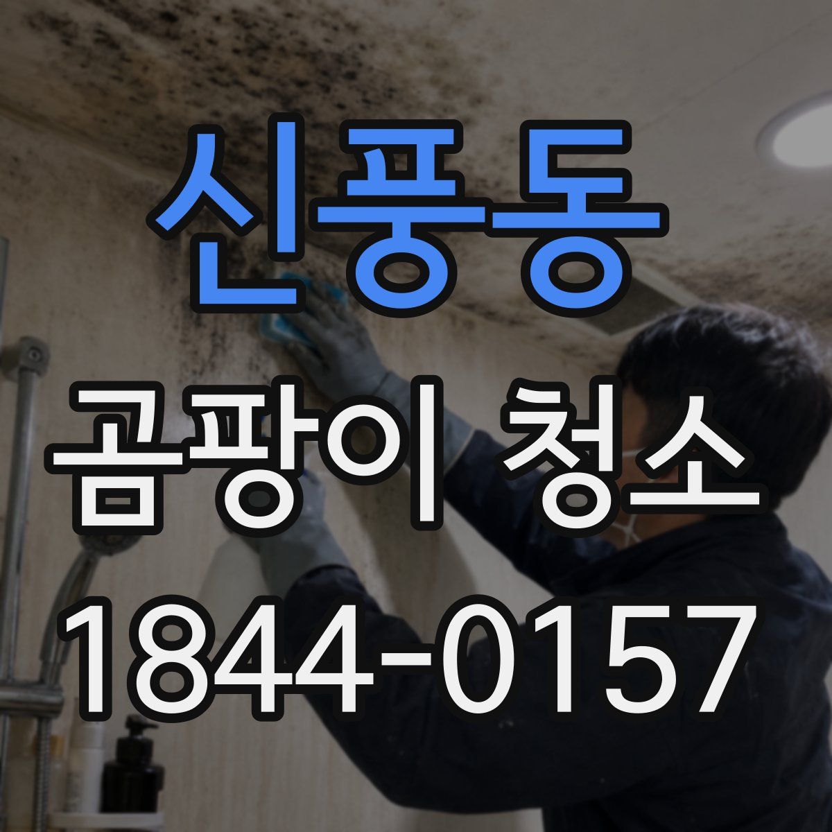 신풍동 곰팡이 청소