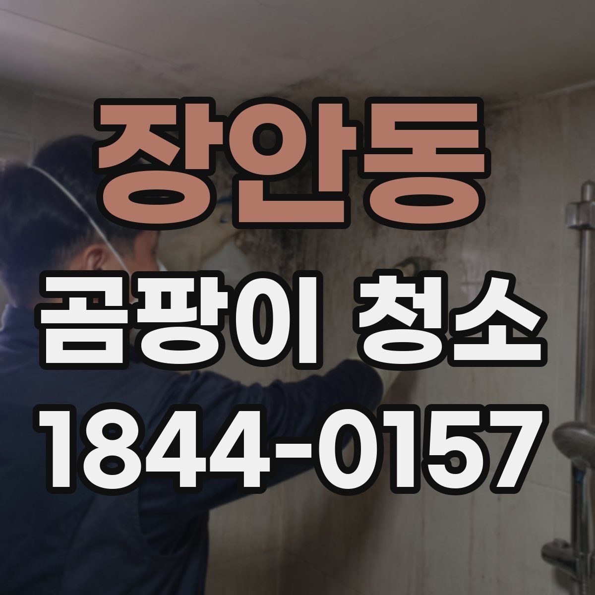 장안동 곰팡이 청소