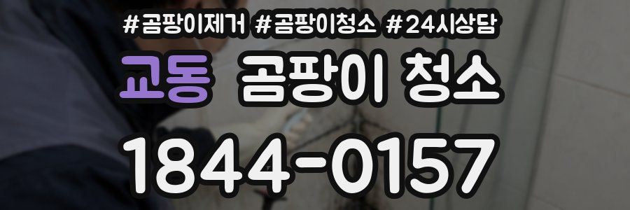 교동 곰팡이 청소