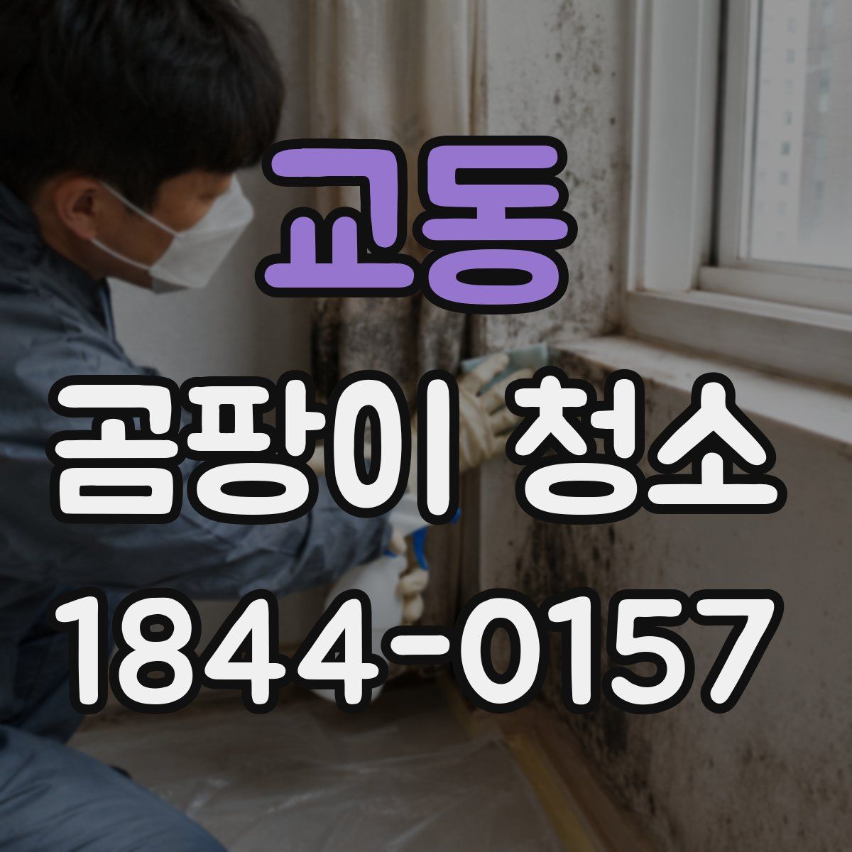 교동 곰팡이 청소