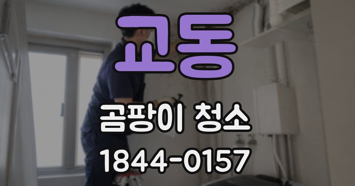교동 곰팡이 청소