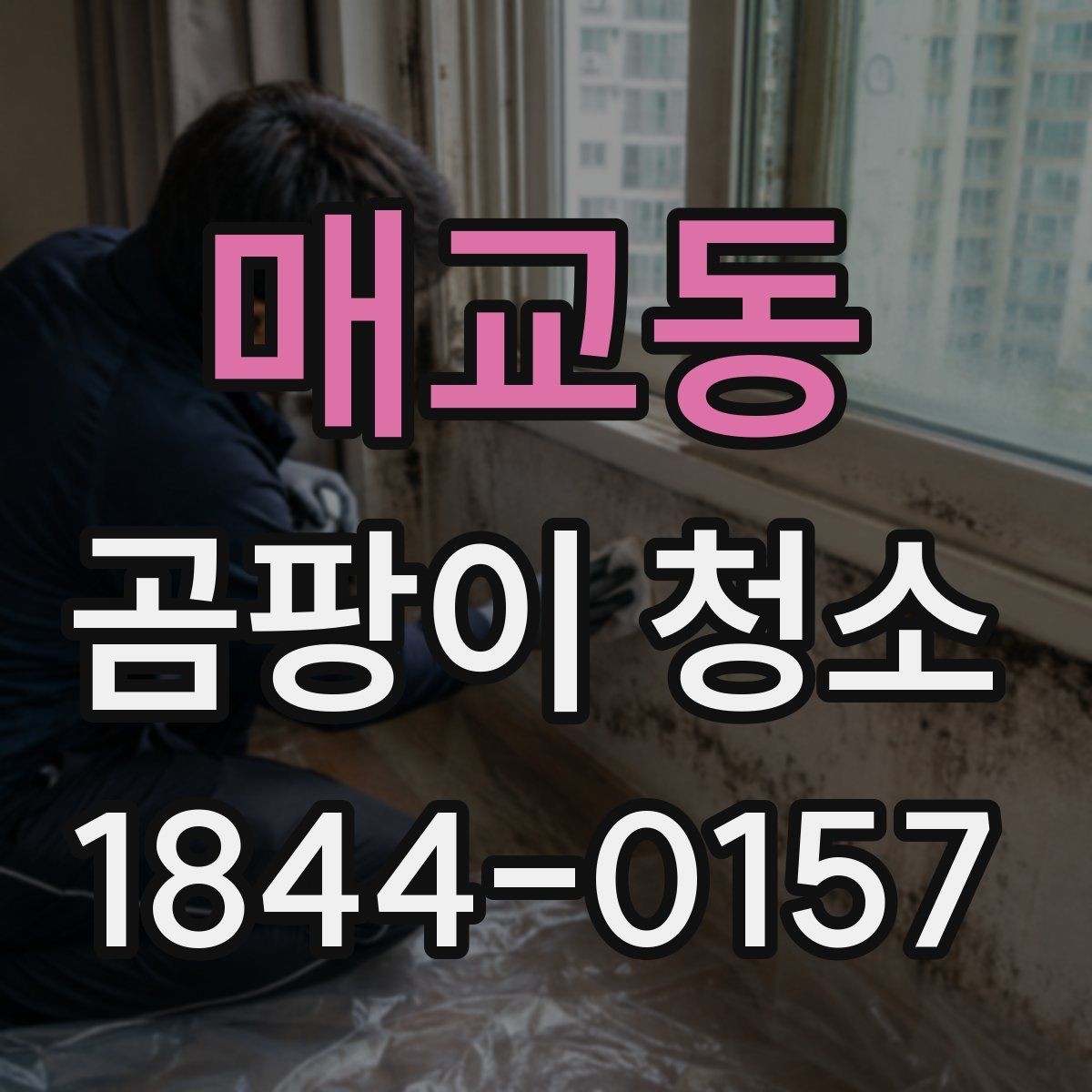 매교동 곰팡이 청소 재발 원인을 줄이는 실내 환경 진단