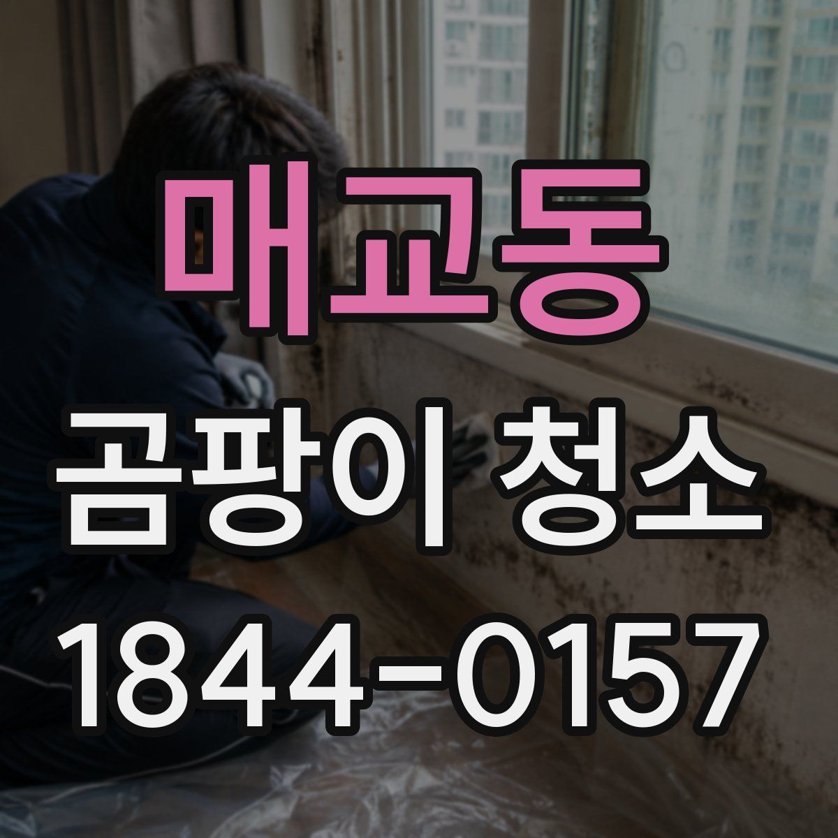 매교동 곰팡이 청소