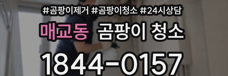 매교동 곰팡이 청소
