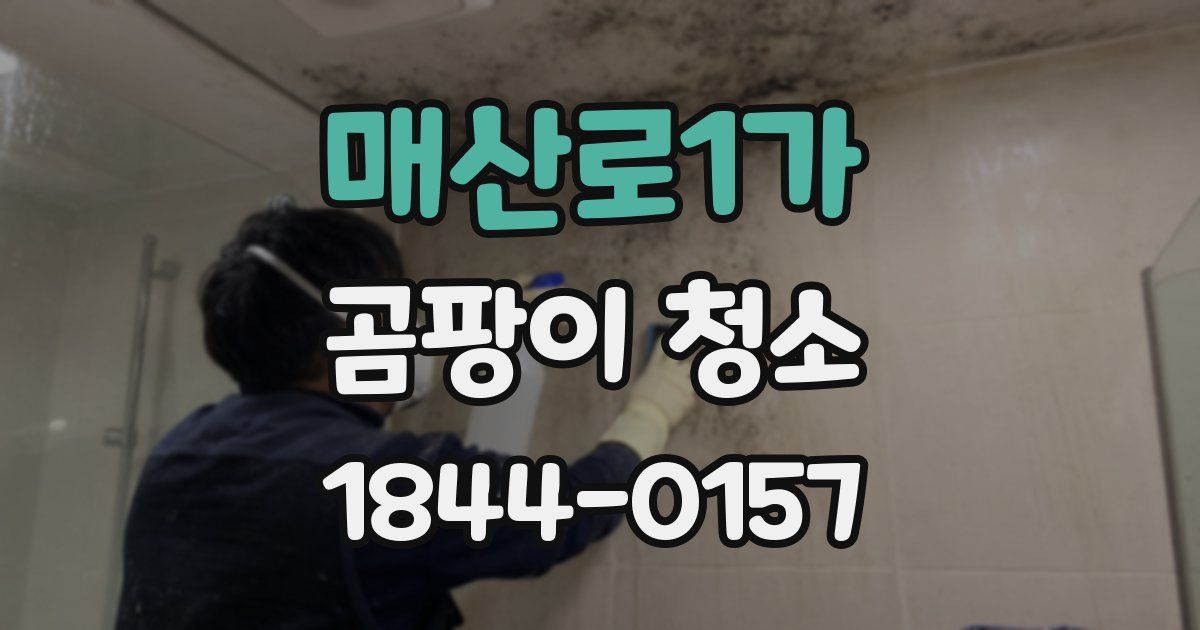 매산로1가 곰팡이 청소
