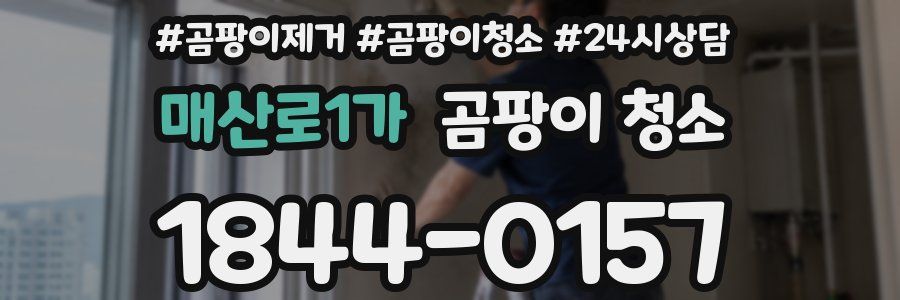 매산로1가 곰팡이 청소