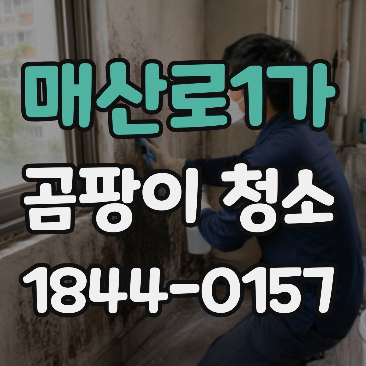 매산로1가 곰팡이 청소