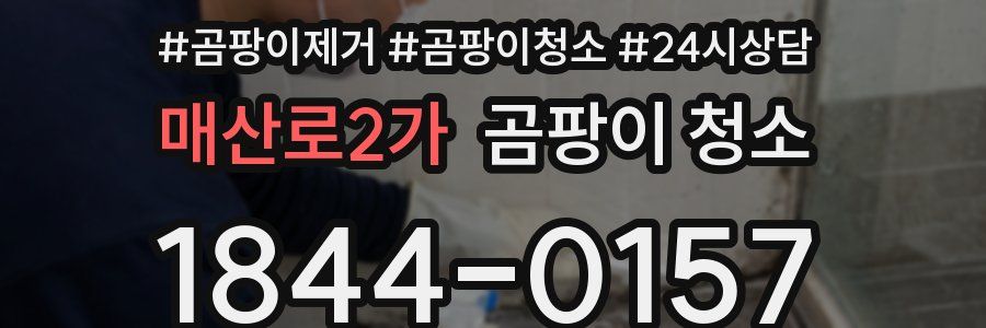 매산로2가 곰팡이 청소