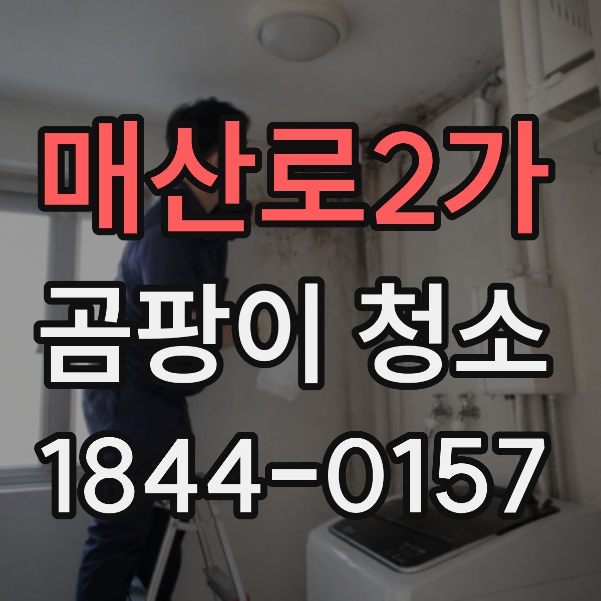 매산로2가 곰팡이 청소