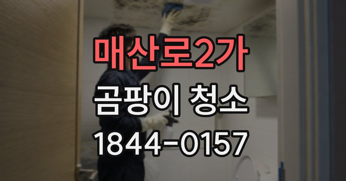 매산로2가 곰팡이 청소