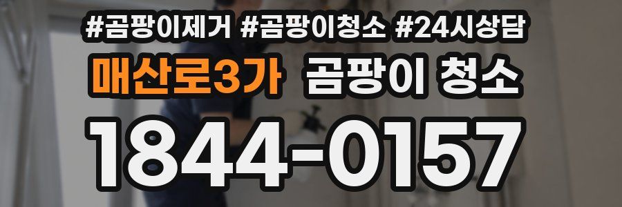 매산로3가 곰팡이 청소