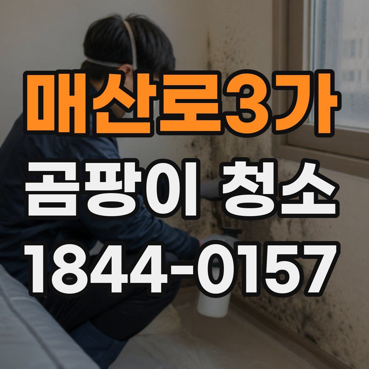 매산로3가 곰팡이 청소