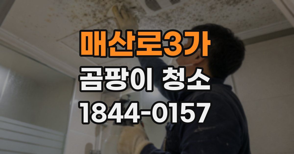 매산로3가 곰팡이 청소