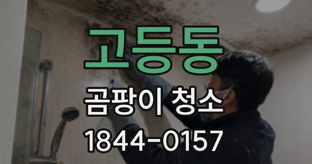 고등동 곰팡이 청소