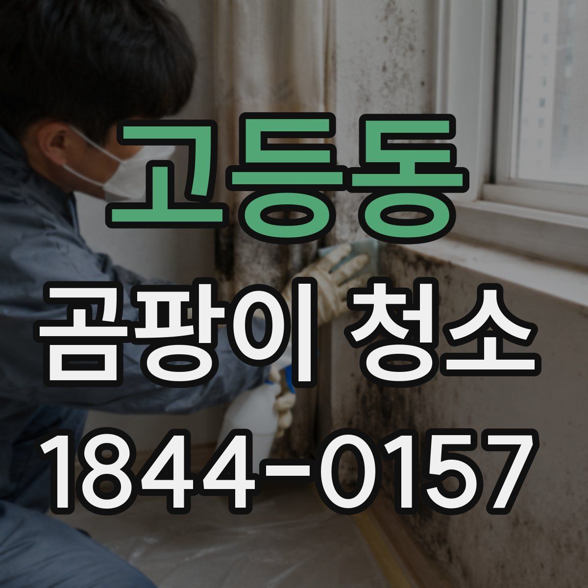 고등동 곰팡이 청소