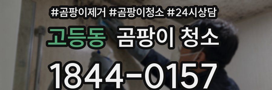 고등동 곰팡이 청소